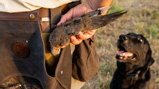 FOUNDATION BIRD & CLAY BELT