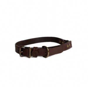 WHISKEY DOG COLLAR