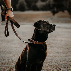 WHISKEY DOG LEASH