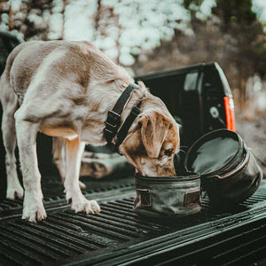 EXPEDITION DOG BOWLS