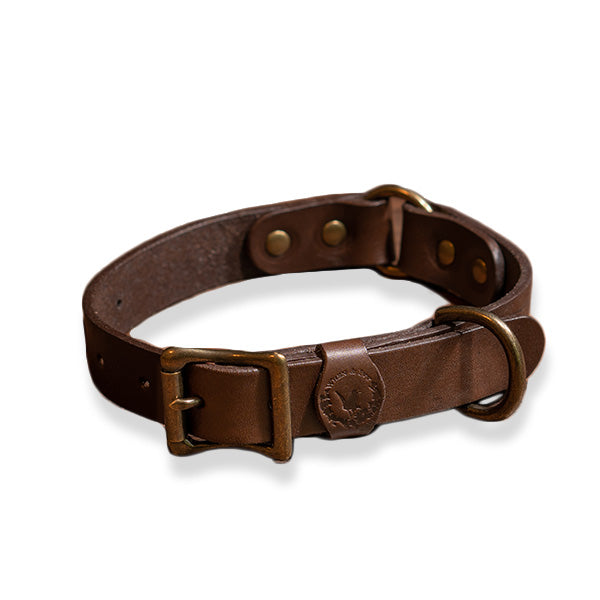 WHISKEY DOG COLLAR